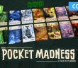 Concours Pocket Madness