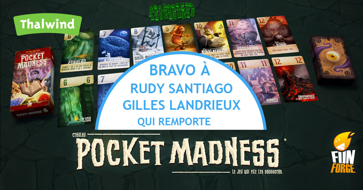 Les gagnants du concours Pocket Madness